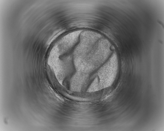 X0000098150782200805151204