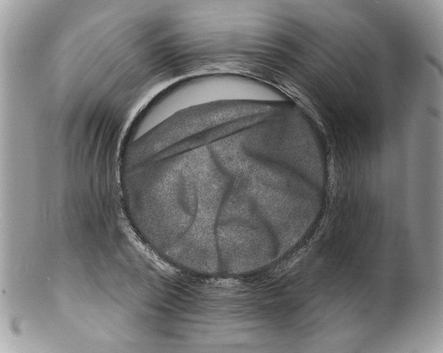 X0000098150784200805151204