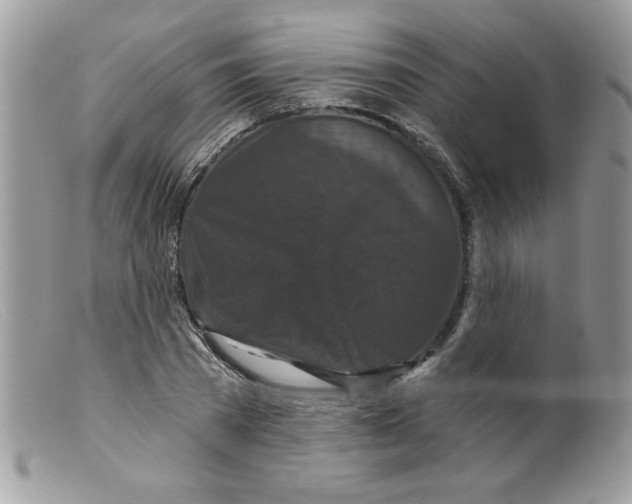 X0000098150785200805151204