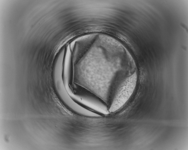 X0000098150786200805151204