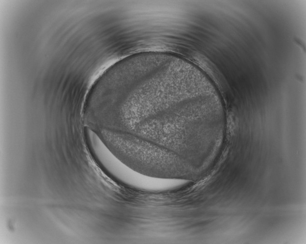 X0000098150787200805151204