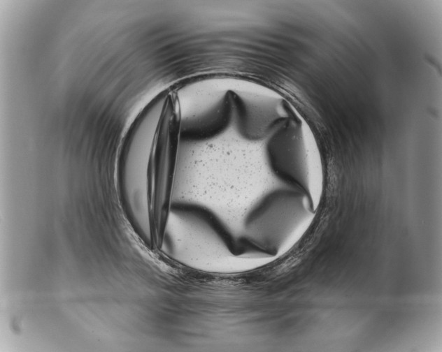 X0000098150788200805151204