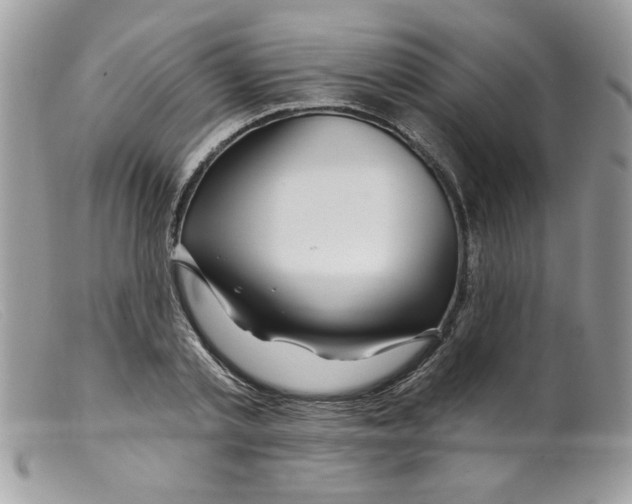 X0000098150789200805151204