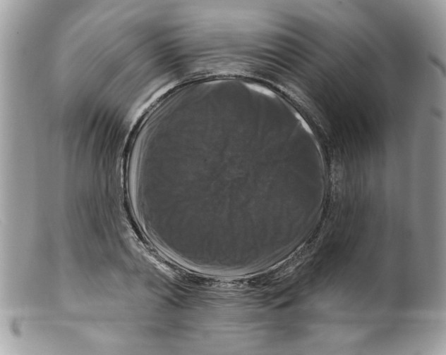X0000098150790200805151204