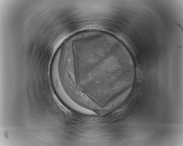 X0000098150791200805151204