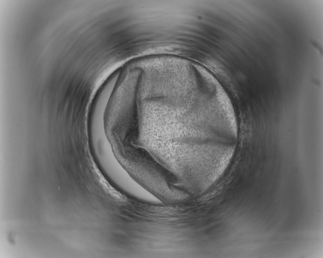 X0000098150792200805151203