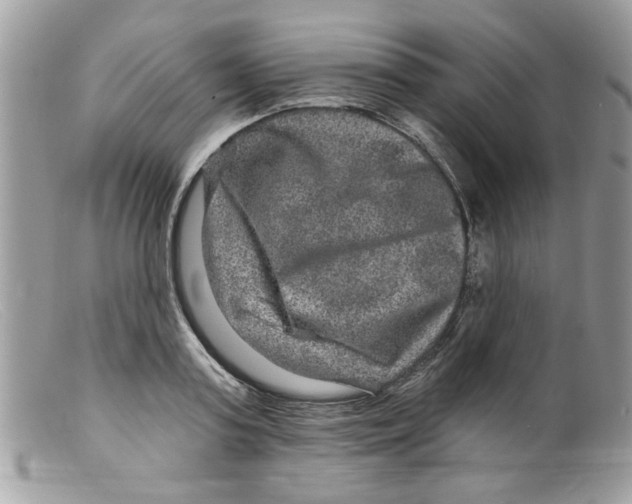 X0000098150795200805151203