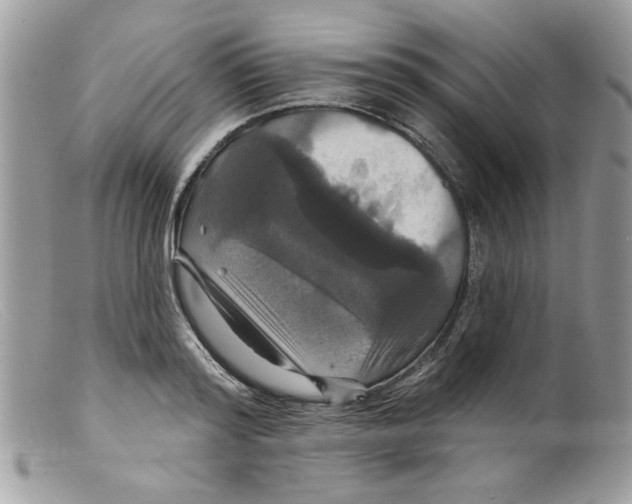 X0000098150796200805151203