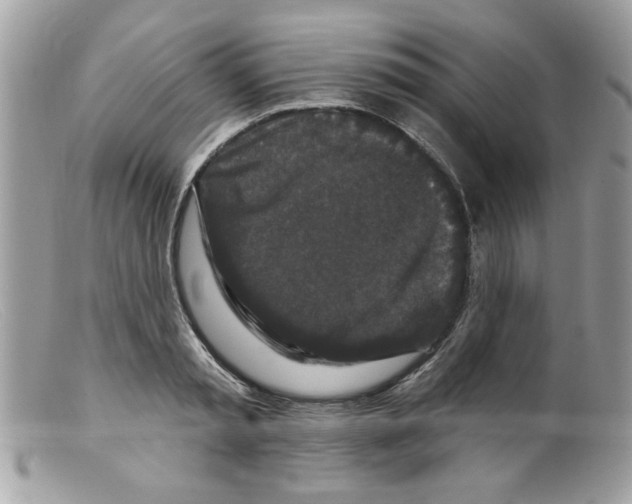 X0000098150797200805151203