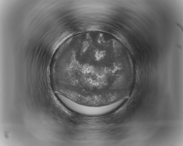 X0000098150798200805151203