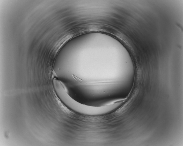 X0000098150801200805151203
