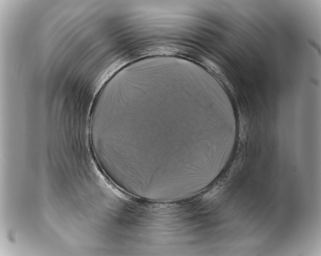 X0000098150802200805151203