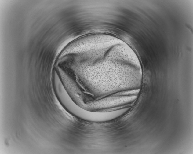 X0000098150803200805151203