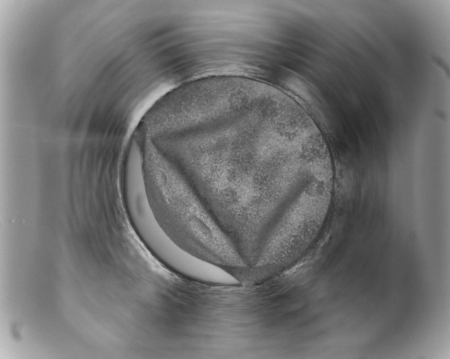 X0000098150804200805151203