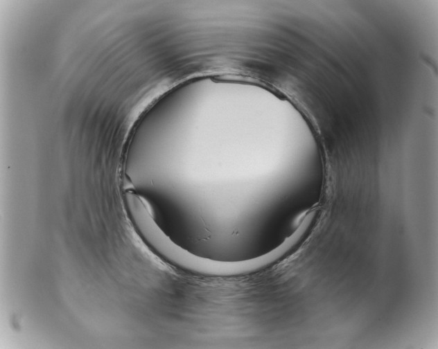 X0000098150805200805151203
