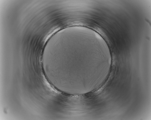 X0000098150806200805151203