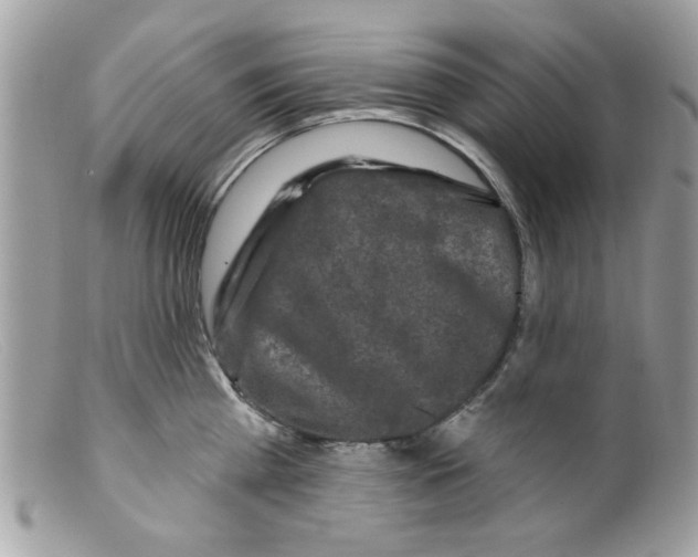 X0000098150809200805151203