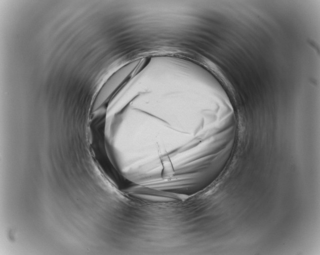X0000098150810200805151203