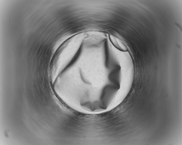X0000098150811200805151203