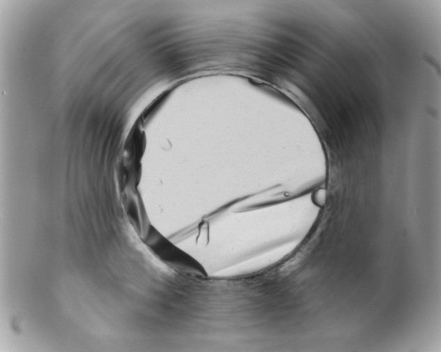 X0000098150812200805151203