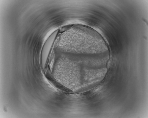 X0000098150815200805151203