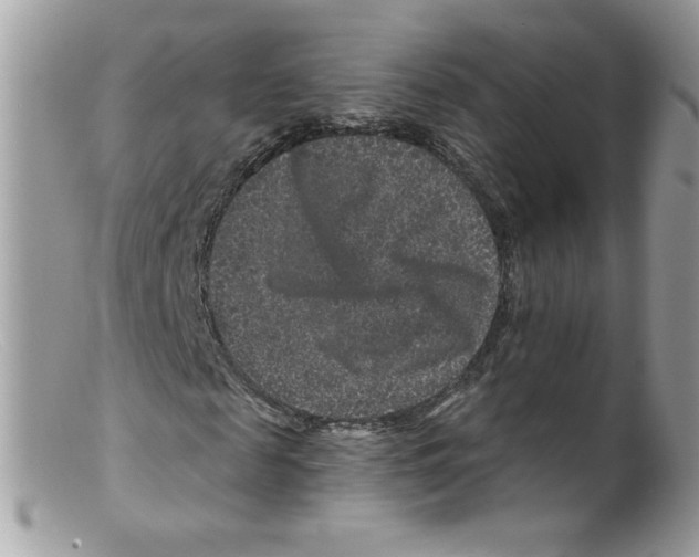 X0000098150817200805151202