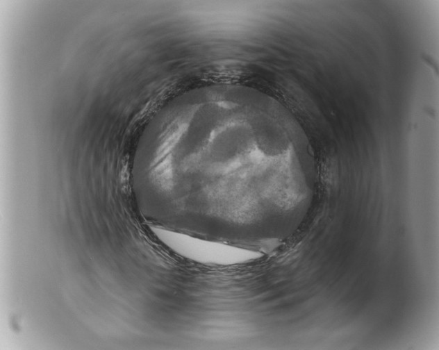 X0000098150818200805151202