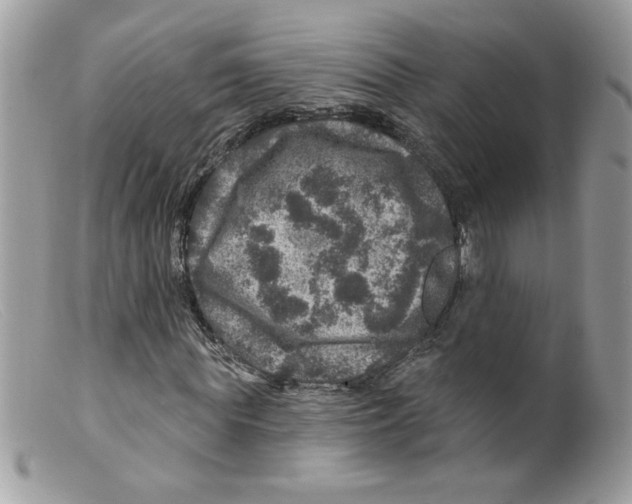 X0000098150819200805151202