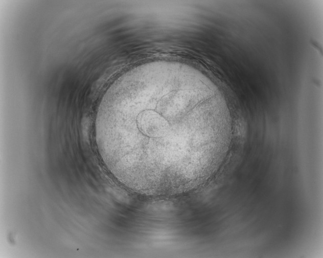 X0000098150820200805151203