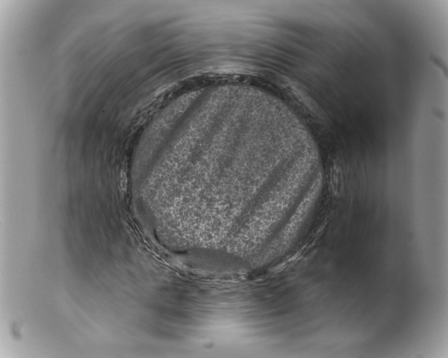 X0000098150821200805151203