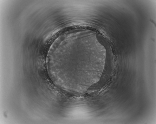 X0000098150822200805151203