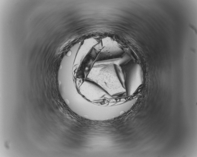 X0000098150824200805151203