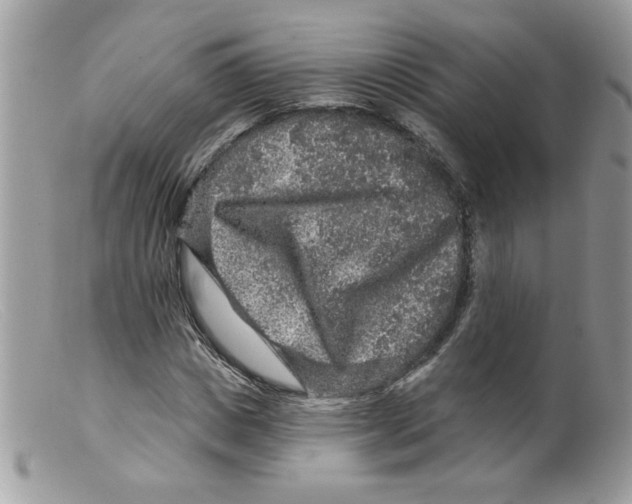 X0000098150825200805151203