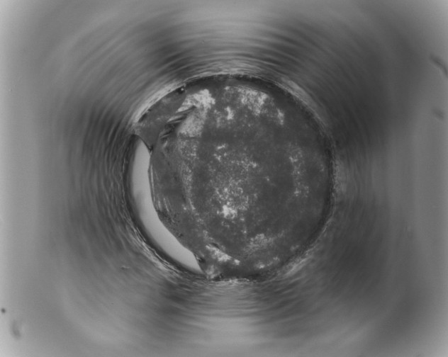 X0000098150826200805151203