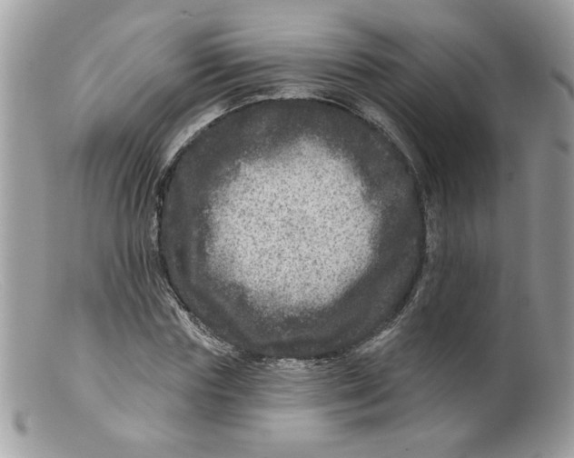 X0000098150827200805151203