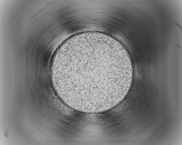 X0000098150828200805151203