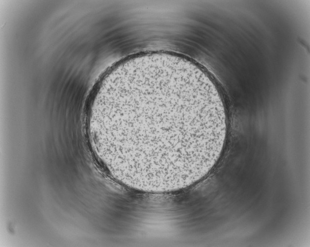 X0000098150832200805151203