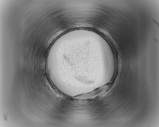 X0000098150833200805151203
