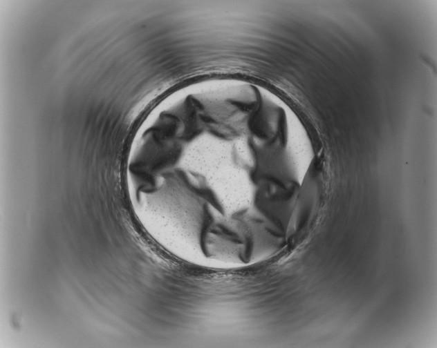 X0000098150834200805151203