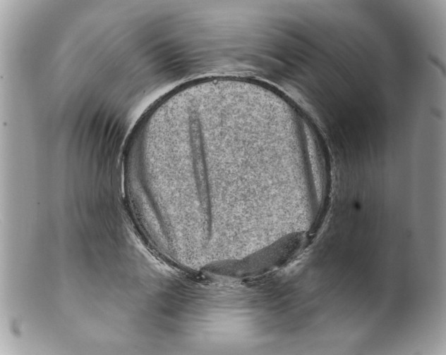 X0000098150838200805151203