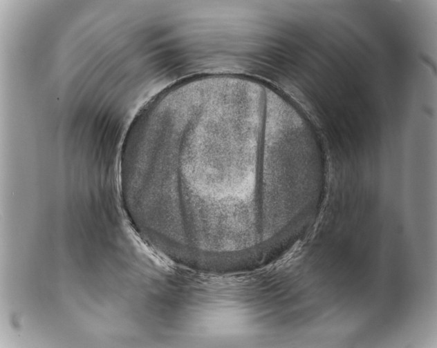 X0000098150840200805151203