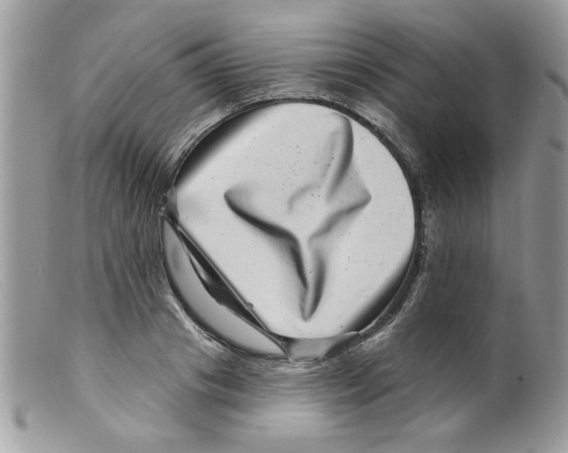 X0000098150841200805151203