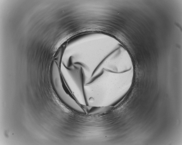 X0000098150842200805151203