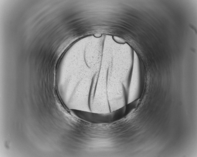 X0000098150844200805151203