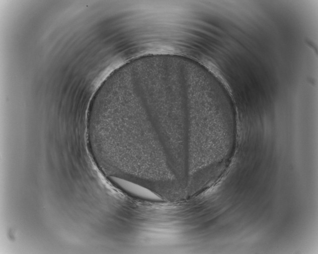 X0000098150845200805151203