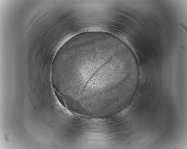 X0000098150847200805151203
