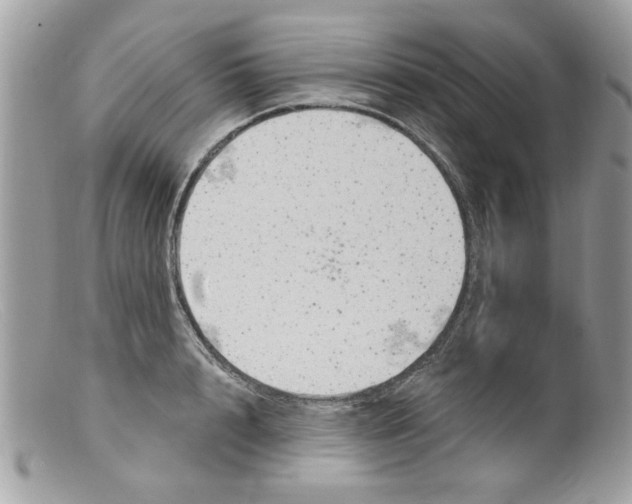 X0000098150848200805151203