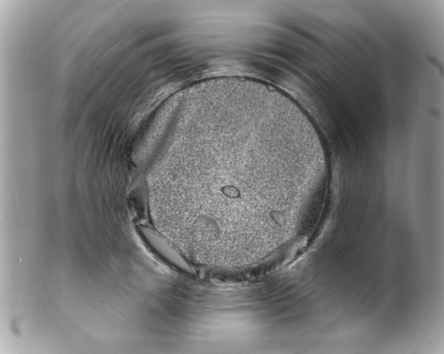 X0000098150849200805151203
