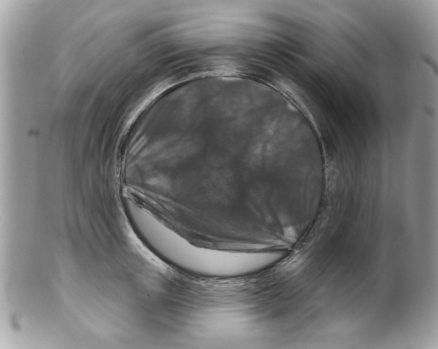 X0000098150851200805151203