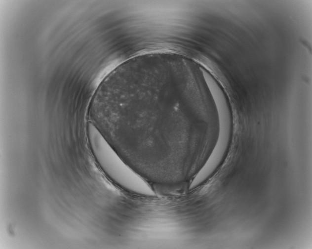 X0000098150858200805151203